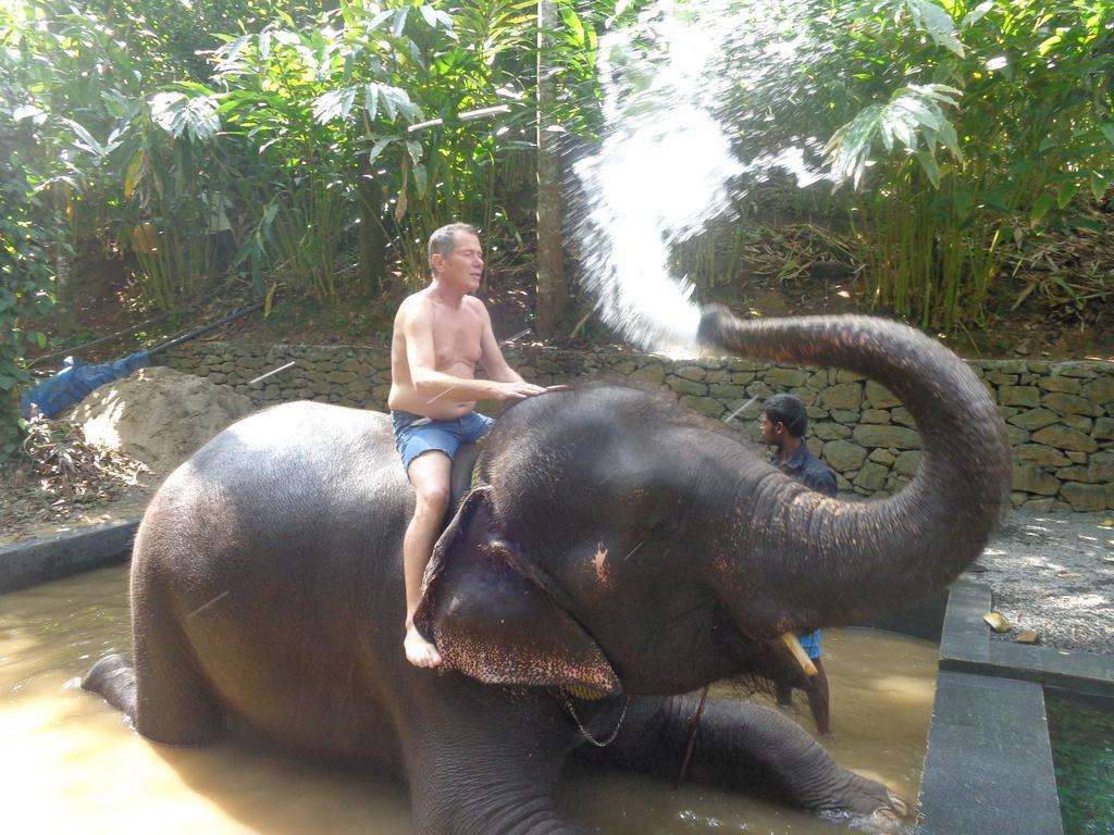 Jungleparadiso Homestay Теккади Экстерьер фото