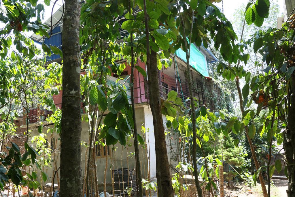 Jungleparadiso Homestay Теккади Экстерьер фото